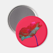 鮮やかなピンクの赤い青のポピー マグネット (正面/裏面)