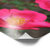 鮮やかなピンクローズ花びら抽象芸術フローラアート8x10 フォトプリント            (角)