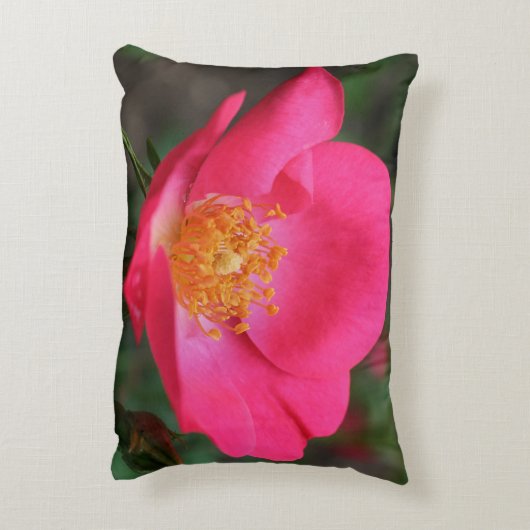 鮮やかなピンクローズ花びら アクセントクッション (裏面(縦))