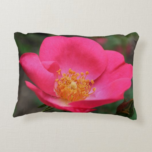 鮮やかなピンクローズ花びら アクセントクッション (裏面)
