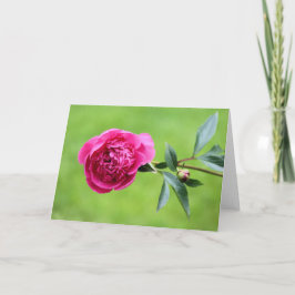 鮮やかなピンク色の牡丹 サンキューカード