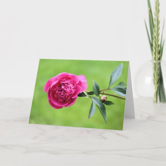 鮮やかなピンク色の牡丹 サンキューカード (正面)