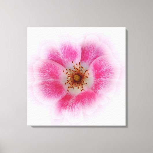 鮮やかなピンク色の花 キャンバスプリント (正面)
