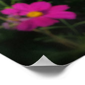 鮮やかなピンク色の花 ポスター (角)