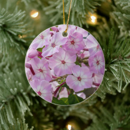 鮮やかなフロックスの花の開花植物 セラミックオーナメント