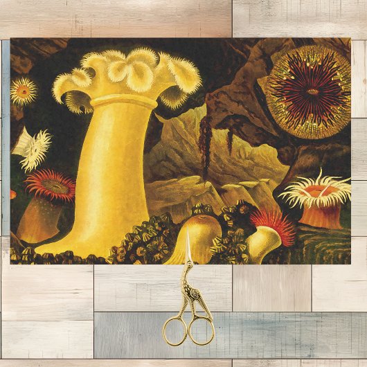 鮮やかなヴィンテージシーライフアネモネスとコーラルオンブラック 薄葉紙