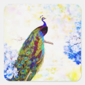 鮮やかな孔雀 スクエアシール (正面)