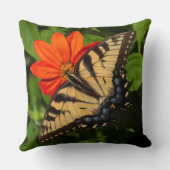 鮮やかな日当たりの良いオレンジ色のデイジーで蝶が点灯 クッション (裏面)