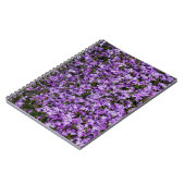 鮮やかな春のフロックスの花 – 自然の花の写真 ノートブック (左側)