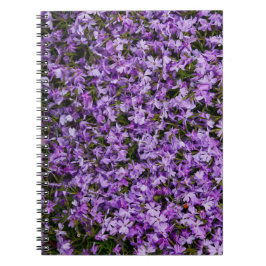 鮮やかな春のフロックスの花 – 自然の花の写真 ノートブック
