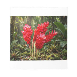 鮮やかな植物画のショウガの花 コーヒーマグ ノートパッド