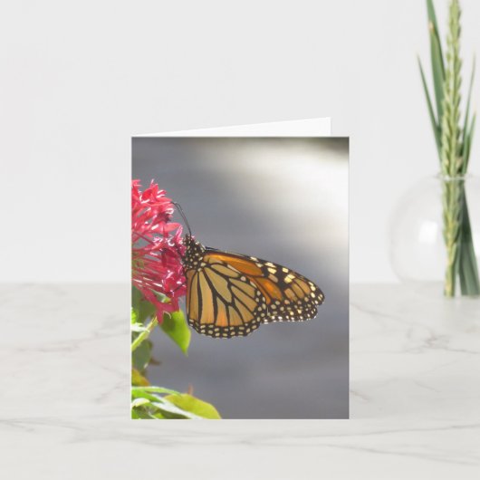 鮮やかな熱帯蝶の折り畳まれたグリーティングカード カード (正面)