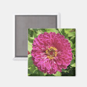 鮮やかな百日草の花の写真 マグネット (正面/裏面)