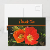 鮮やかな砂漠の花開く写真 サボテンの花にお礼 ポストカード (正面/裏面)