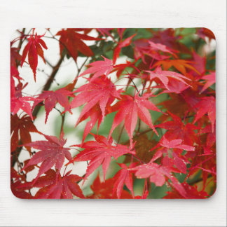 鮮やかな紅葉のクローズアップ マウスパッド