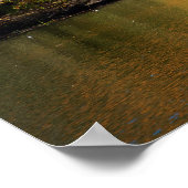 鮮やかな紅葉の風景樹 ポスター (角)