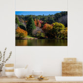 鮮やかな紅葉の風景樹 ポスター (キッチン)