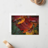 鮮やかな紅葉 ノートカード (正面/裏面インサイチュ)