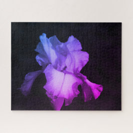 鮮やかな紫のアイリス写真パズル ジグソーパズル