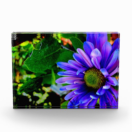 鮮やかな紫色の花 フォトブロック (正面)