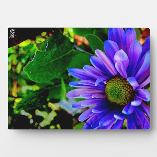 鮮やかな紫色の花 フォトプラーク (正面)