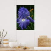 鮮やかな紫色の虹彩花 ポスター (キッチン)
