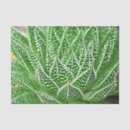 鮮やかな緑のサボテン植物の植物学的なデコパージュ 薄葉紙