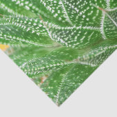 鮮やかな緑のサボテン植物の植物学的なデコパージュ 薄葉紙 (詳細)