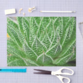 鮮やかな緑のサボテン植物の植物学的なデコパージュ 薄葉紙 (クラフト)
