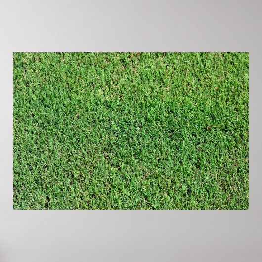 鮮やかな緑の芝生の草 ポスター (正面)