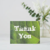 鮮やかな緑の葉の自然への感謝を伝えるポストカード ポストカード (スタンド正面)