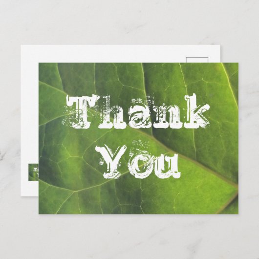 鮮やかな緑の葉の自然への感謝を伝えるポストカード ポストカード (正面/裏面)