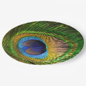 鮮やかな羽毛 ペーパープレート (アングル)