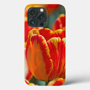 鮮やかな色のチューリップ iPhone 13 PROケース
