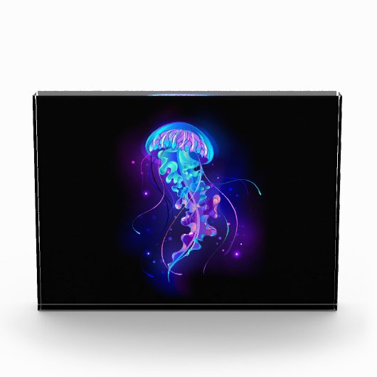 鮮やかな色の発光するクラゲ フォトブロック (正面)
