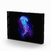 鮮やかな色の発光するクラゲ フォトブロック (右)