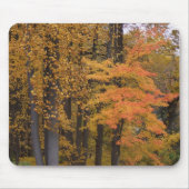 鮮やかな色の秋の木と葉マウスパッド マウスパッド (正面)