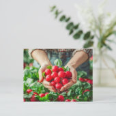 鮮やかな色彩の大根の庭 シーズンポストカード (スタンド正面)