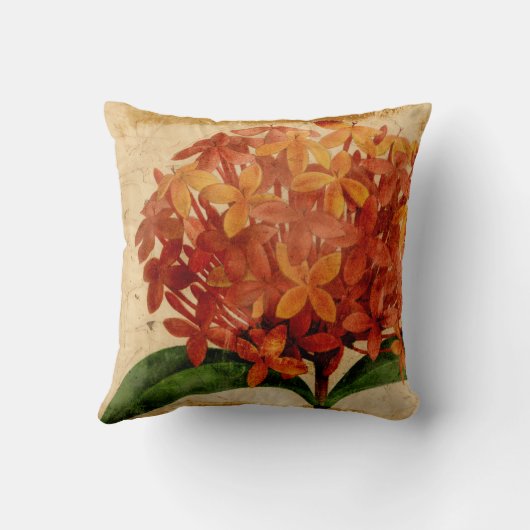 鮮やかな花柄III クッション (裏面)