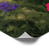 鮮やかな花畑の夕焼け ポスター (角)