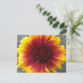 鮮やかな花 ポストカード (スタンド正面)