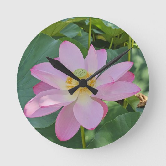 鮮やかな蓮の花 ラウンド壁時計 (正面)