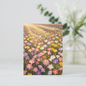 鮮やかな虹色のユリの花畑 ポストカード (スタンド正面)