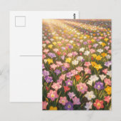 鮮やかな虹色のユリの花畑 ポストカード (正面/裏面)