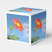 鮮やかな赤いいちごの花 フェイバーボックス (正面サイド)