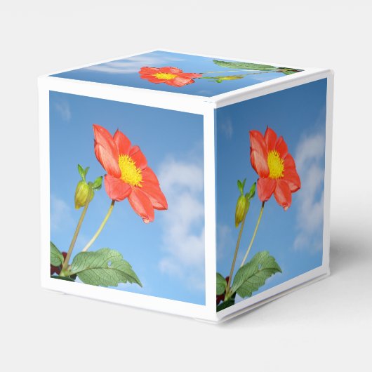 鮮やかな赤いいちごの花 フェイバーボックス (裏面サイド)