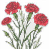 鮮やかな赤いカーネーションと緑の茎 シール (正面)