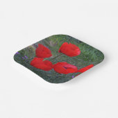 鮮やかな赤いケシ ペーパープレート (傾斜あり)