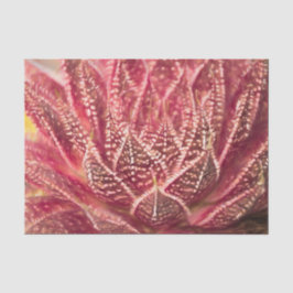 鮮やかな赤いサボテンの植物 ボタンイラストのデコパージュ 薄葉紙