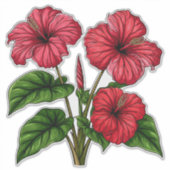鮮やかな赤いハイビスカスの花と豊かな緑の葉 シール (正面)